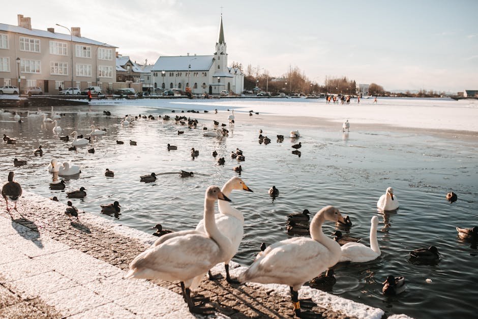 Reykjavik, Islandia
